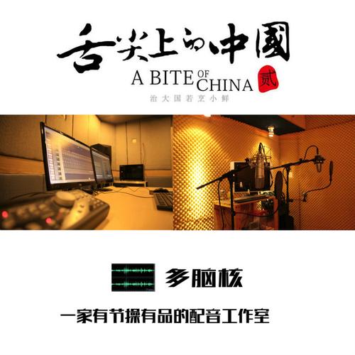 专业配音制作高端视频音频宣传片纪录片男声女声英语广告录音服务