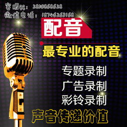 语音录音盒报价 厂家