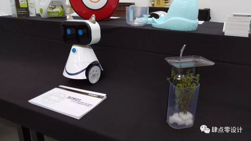 毕业季 厦门大学嘉庚学院2018产品设计专业本科毕业展