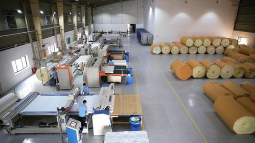 携手共进,共享发展机遇——海马牌及轩琴居越南生产工厂开放日录音制作纪实